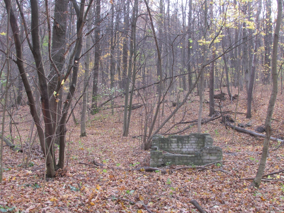 Фото Елены Федяшевой