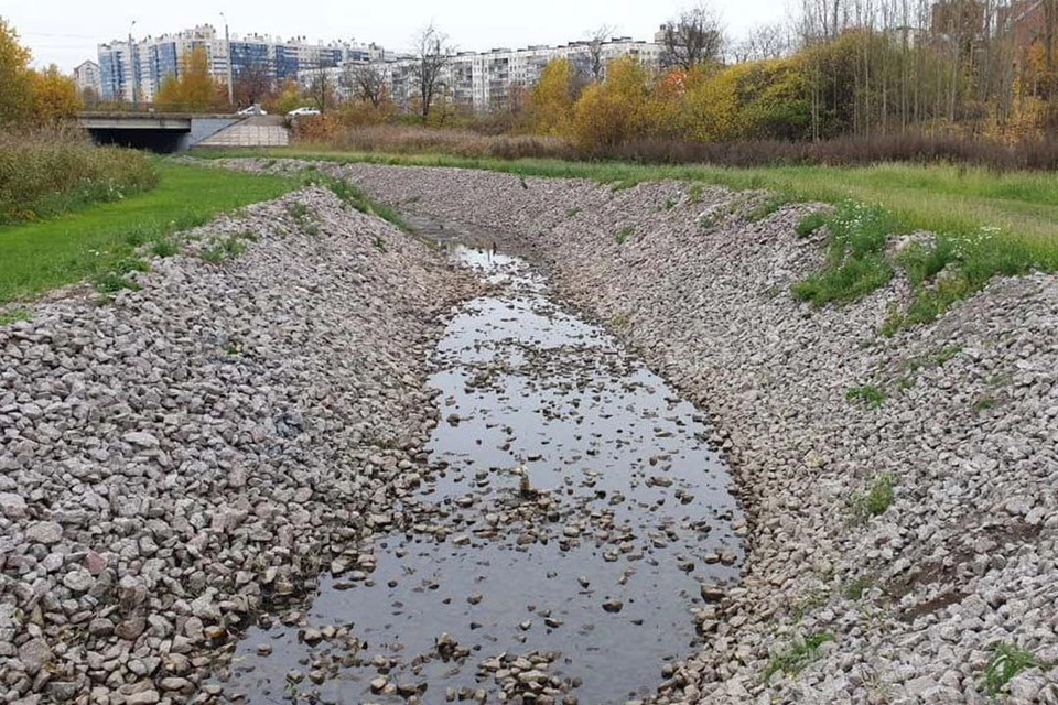 Состояние Муринского ручья. Фото: t.me/zinchuk_blog