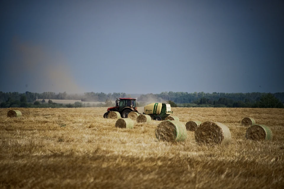 Фото: архив КП