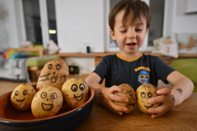 В России отличный урожай зерна, картошки и яблок: Что будет с ценами в магазинах