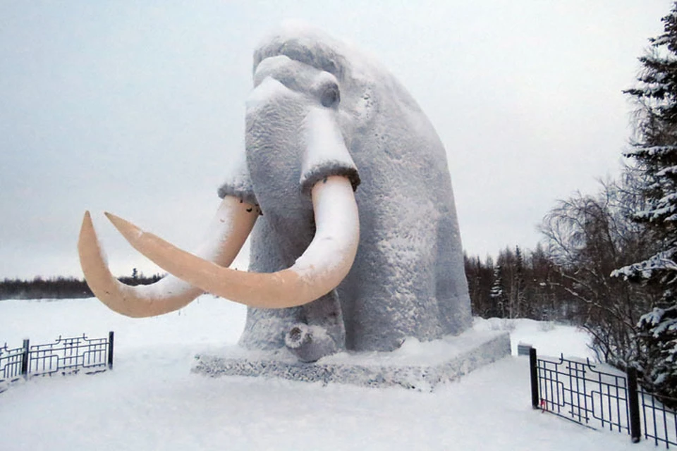 Афиша на Ямале с 8 по 9 ноября