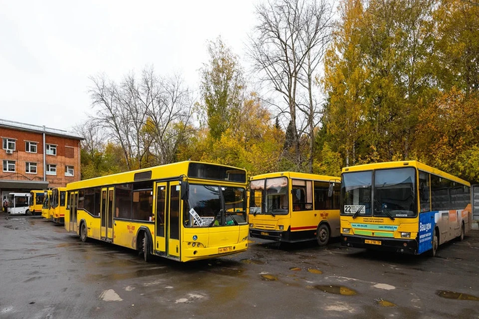 Хорошего дня! Фото: архив