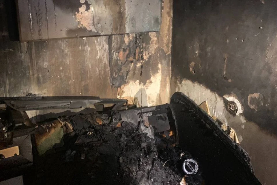 Пенсионерка и ее сын погибли при пожаре в частном доме в Королеве