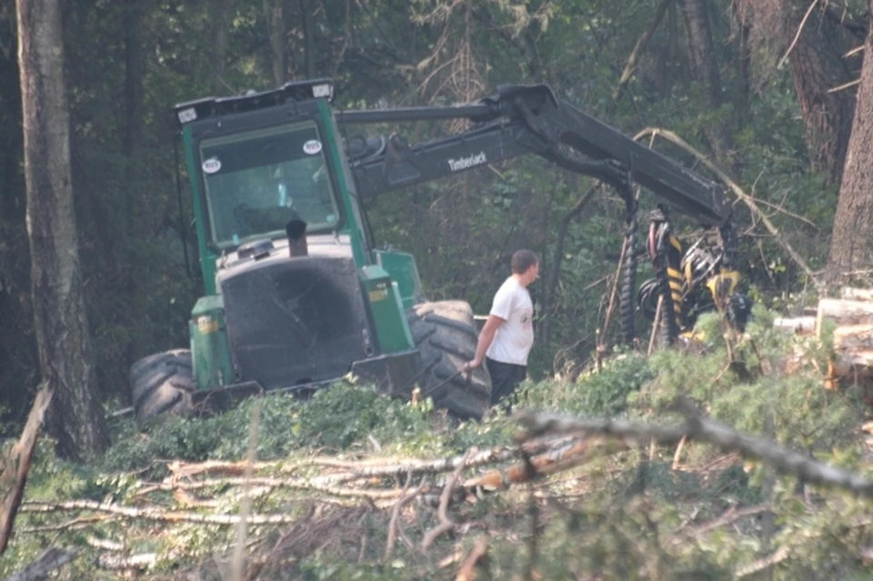 Фото: Баркова Людмила