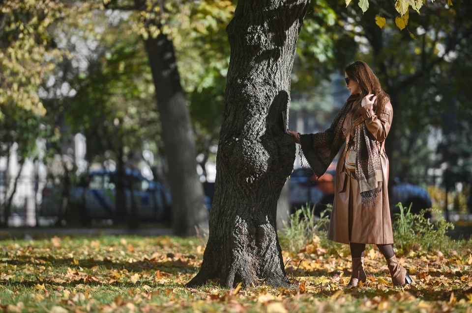 Днем температура по области может достигать +19 градусов.