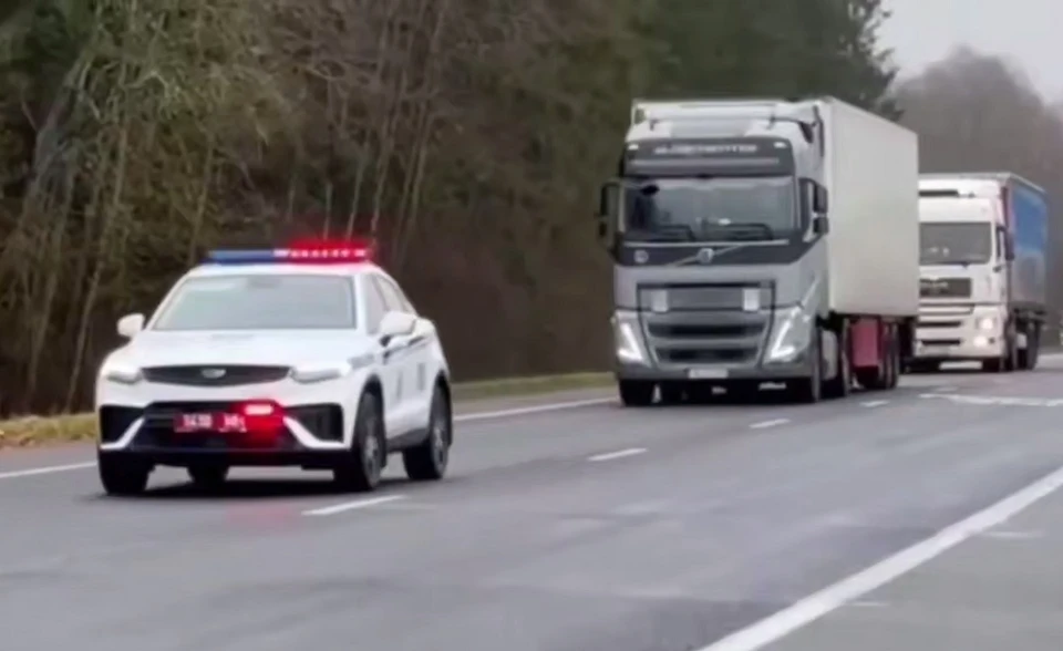 Таможня Беларуси сказала о литовских грузовиках и их водителях. Фото: ГТК.