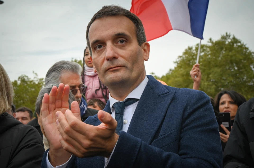 Филиппо: президент Германии Штайнмайер фактически призвал к запрету АдГ