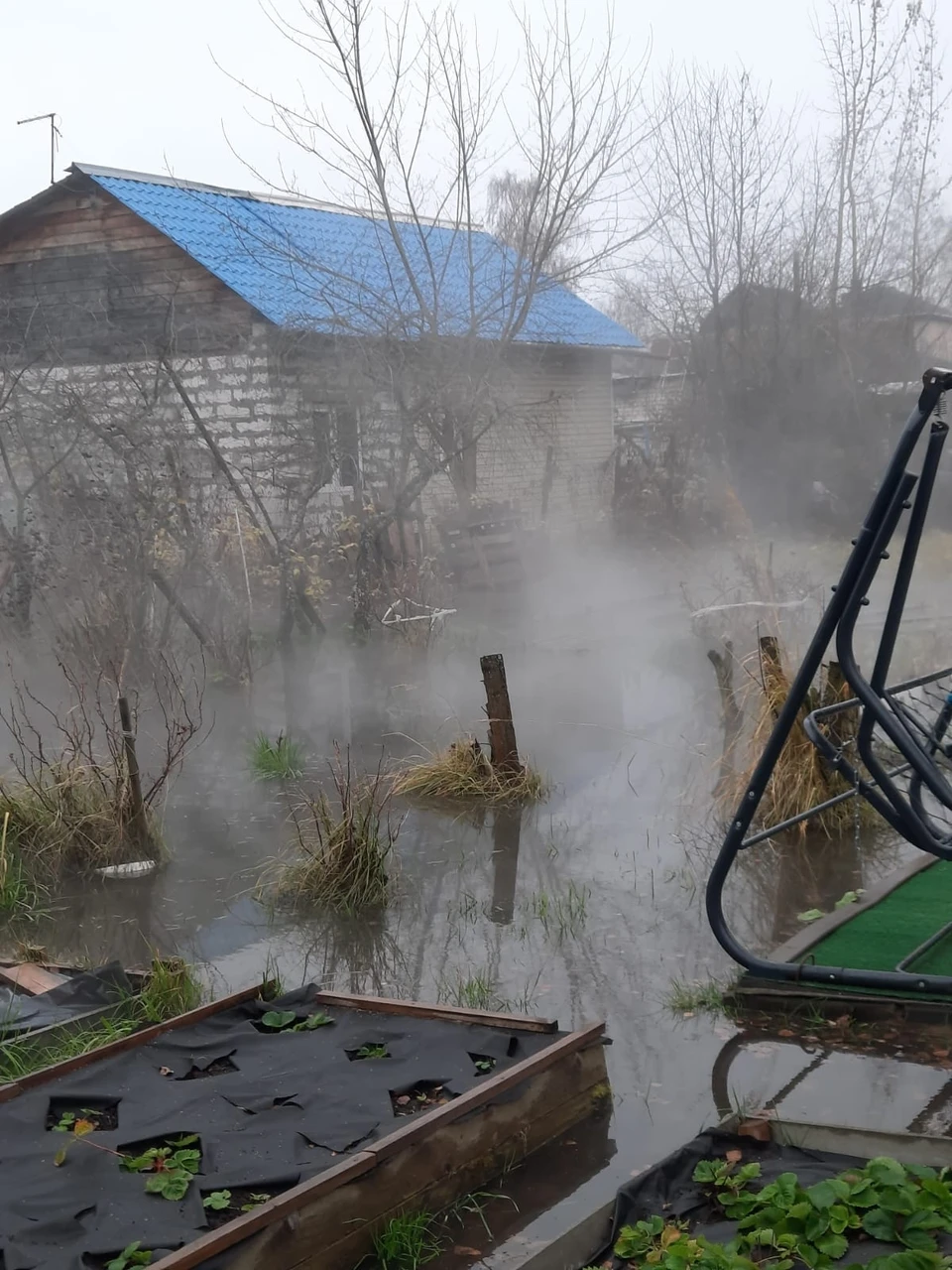 Фото: предоставлено жителями улицы Стрелковой