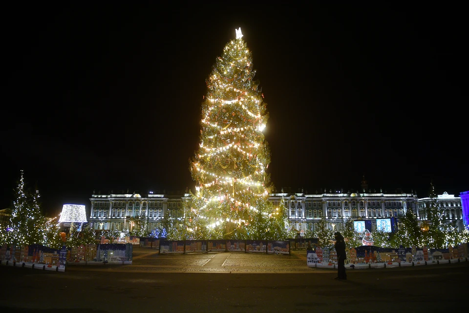 Ель привезут в Северную столицу из лесов Ленинградской области.