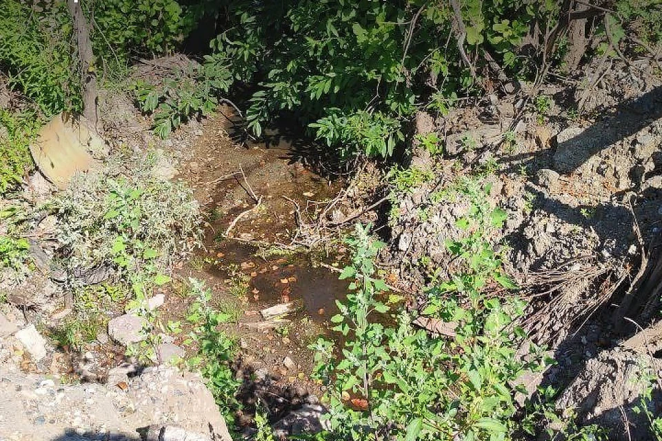 Фото: Федеральная служба по надзору в сфере природопользования (Росприроднадзор)