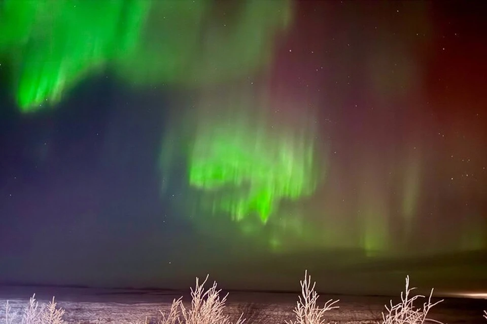 Фото: Александра, телеграм-канал «Обращения ЯНАО»