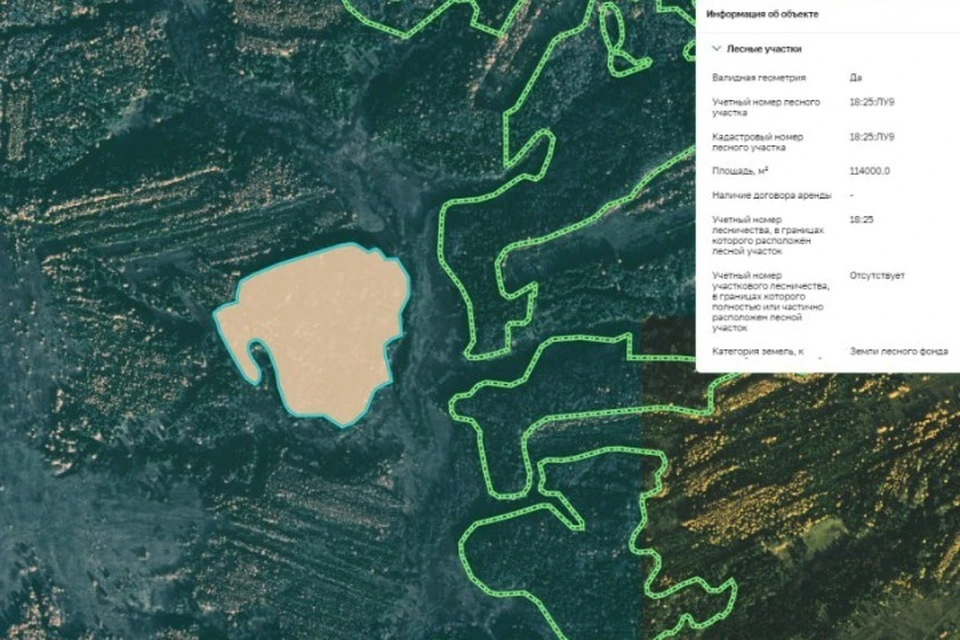Решение суда исполнено. Фото: природоохранная прокуратура Удмуртии