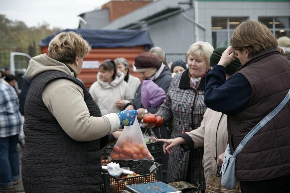 Фото правительства Курской области