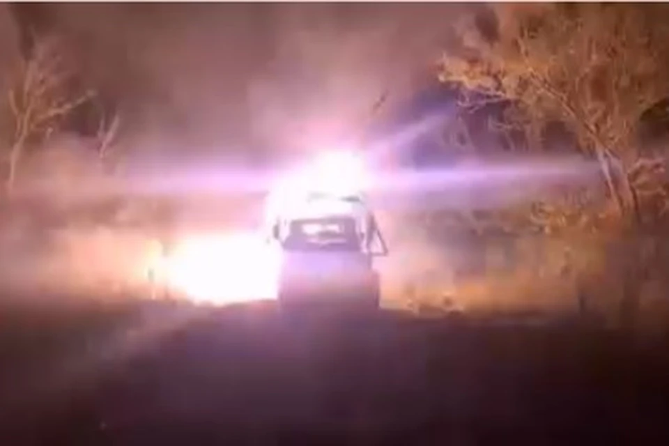 Десантники ВС РФ уничтожили пехоту ВСУ в лесном массиве Сумской области