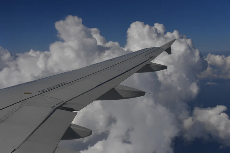 Начала все с чистого листа, но ее жизнь прервалась: дети погибшей в Таиланде магаданки вернулись домой после трагедии