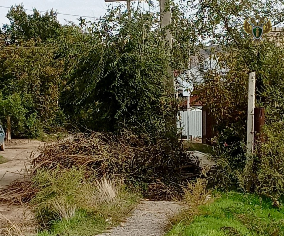 Фото: прокуратура Ставрополья