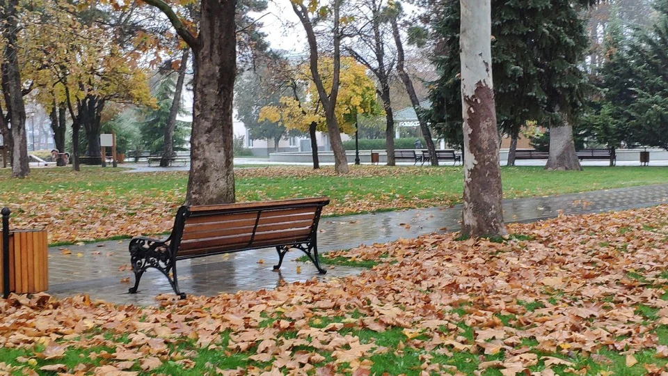 Ноябрь в Симферополе