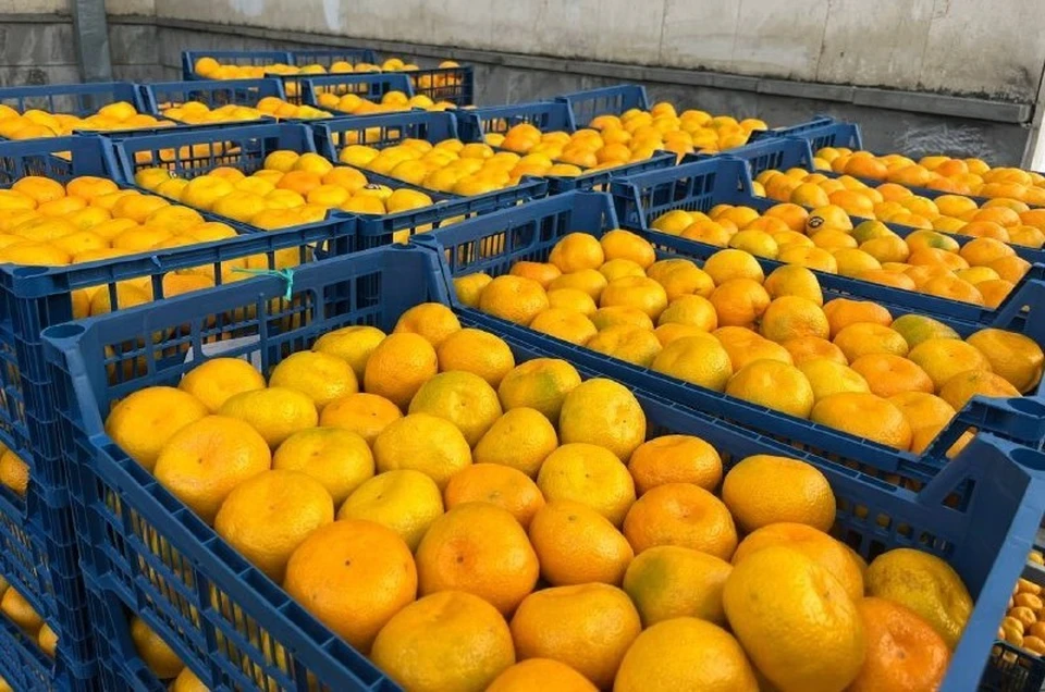 Фото: администрация Предгорного округа