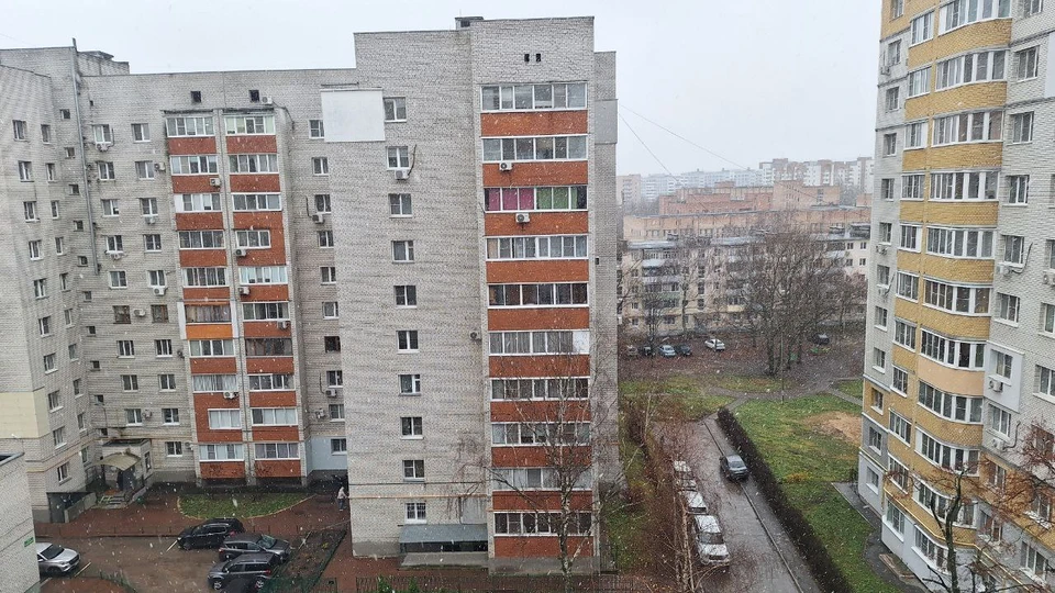 В Рязани выпал первый снег. Фото: читательница «КП-Рязань»