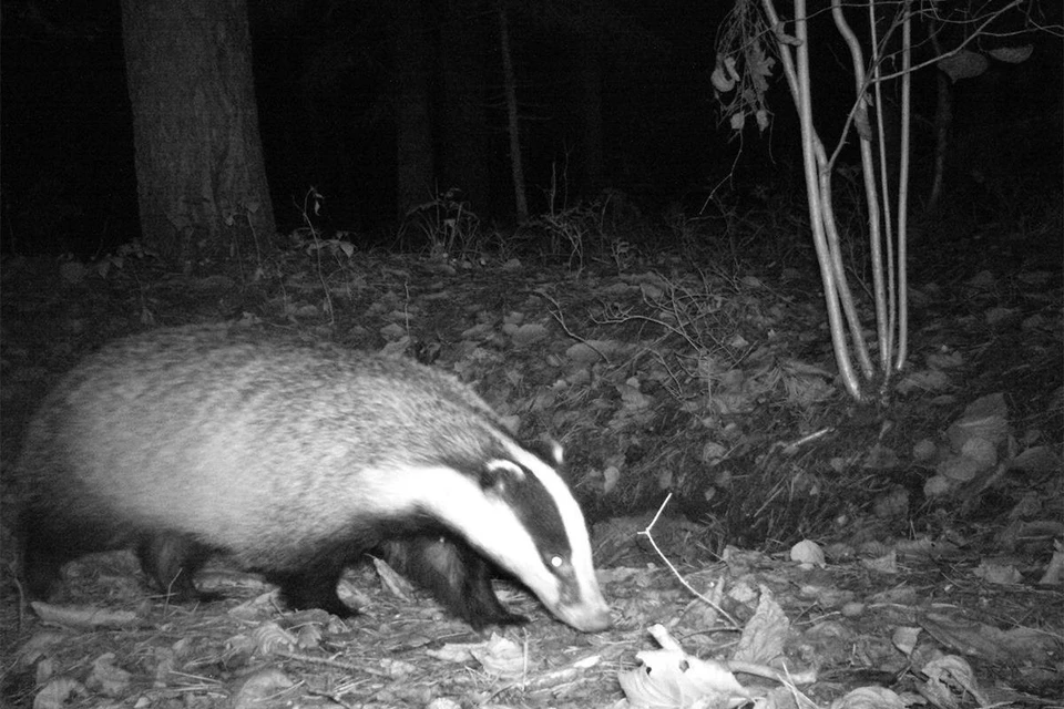 Фото: минприроды СК