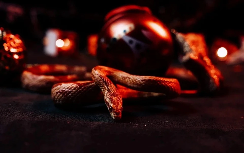 Иногда нужно просто прислушаться к себе