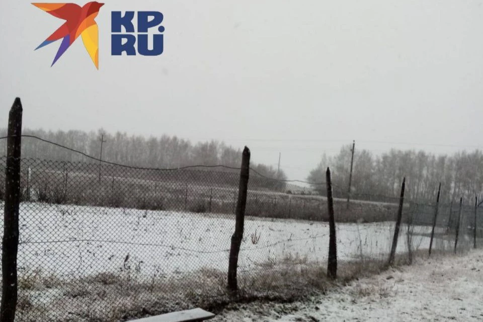 В Шарлыкском районе настоящий снегопад