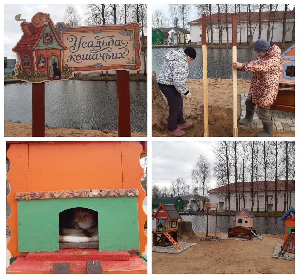 Фото: ТОС «Старый дворик».