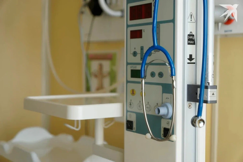 Централизованная информационная система заработает в Беларуси в 2026 году. Снимок носит иллюстративный характер.