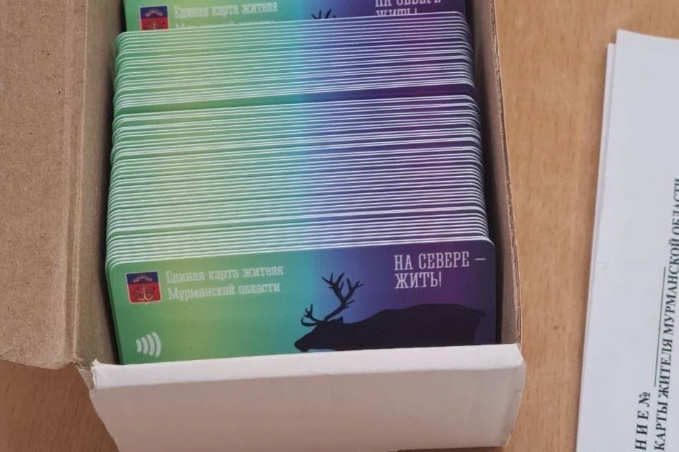 Единая карта жителя выдается бесплатно и действует 10 лет. Фото: Правительство Мурманской области