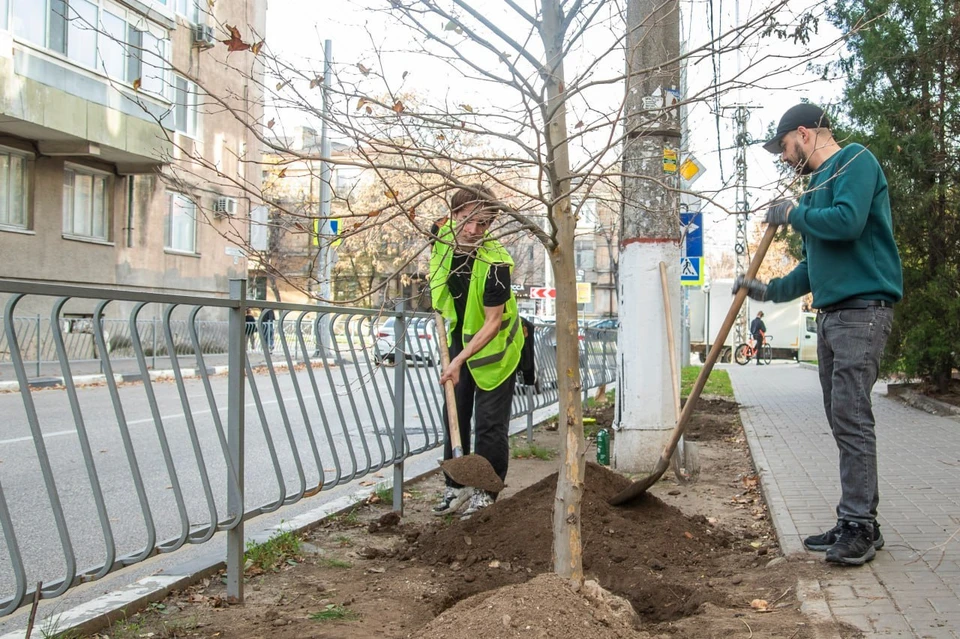 Фото: пресс-служба администрации Симферополя