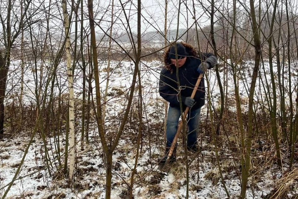 Деревья высадят в память о выпускниках школы. ФОТО: Администрация Первомайска