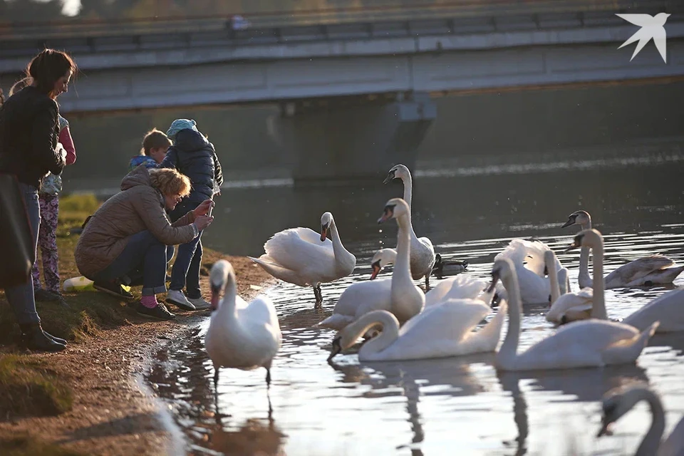 Белорусы с 15 лет могут получить право на участие в переписи населения. Снимок носит иллюстративный характер.