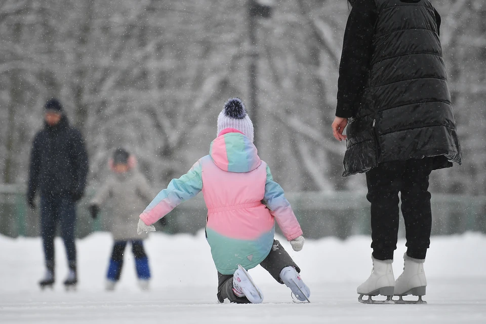 В этом году ноябрь на Ставрополье выдался довольно теплым