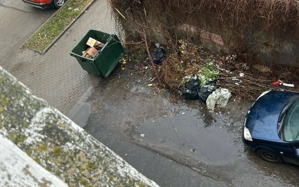 Калужанка сообщила о несанкционированной свалке на улице Луначарского.