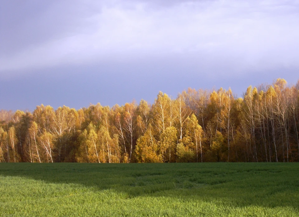 Солнечная погода заглянула в Калужскую область.