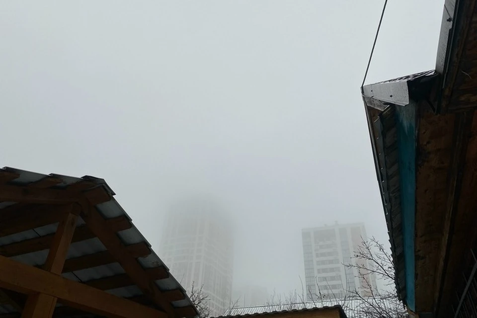 Еще один отличный день! Фото: Елизавета Четверикова