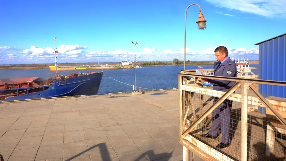 Фото: Управление Россельхознадзора по Ростовской, Волгоградской и Астраханской областям и Республике Калмыкия