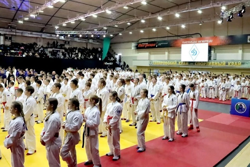 Мэр Хабаровска принял участие в открытии фестиваля спортивных единоборств