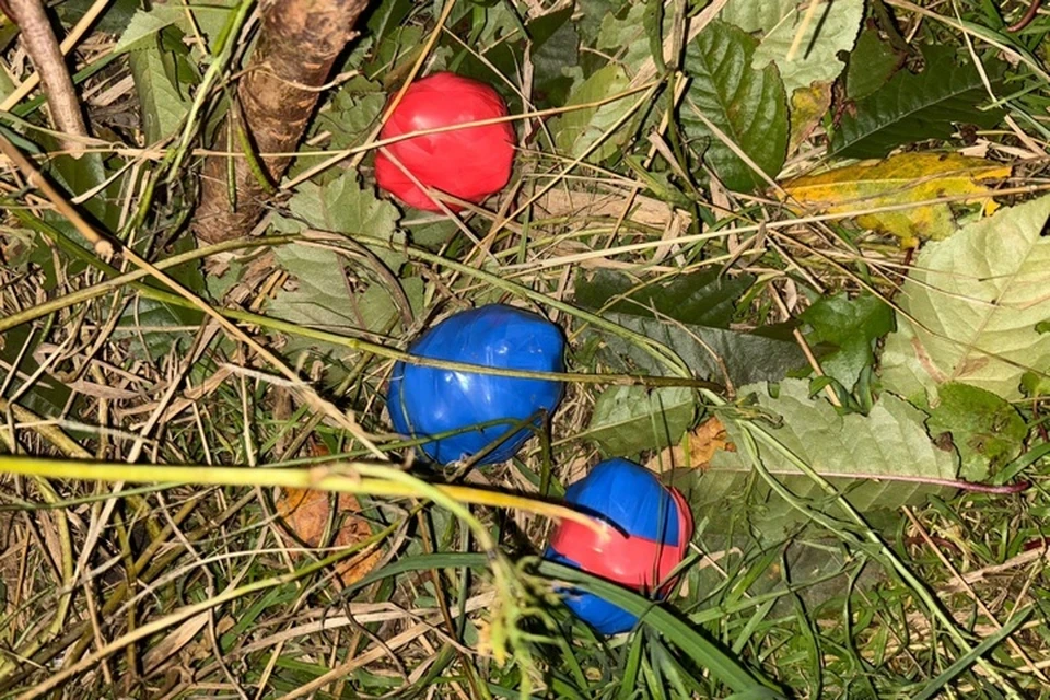 Жительница Бердянска выстроила сеть наркоторговли. Фото: ГУ МВД России по ЗО