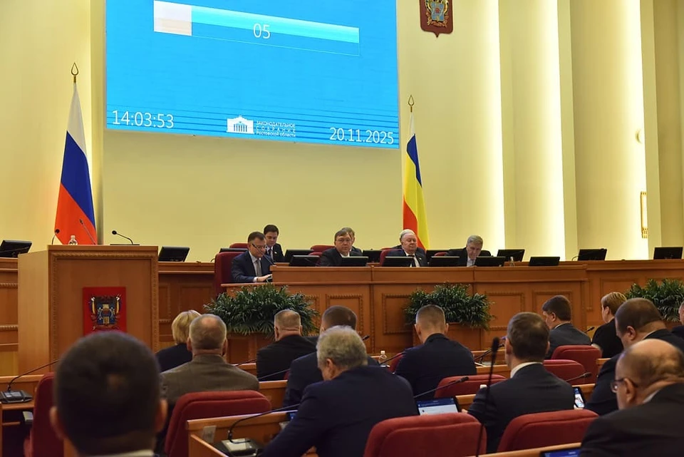 «Детский бюджет» планируют увеличить на 16%. Фото: Заксобрание Ростовской области.