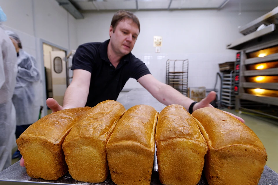 Начинающие предприниматели могут пройти онлайн-курс «ПроБизнес»