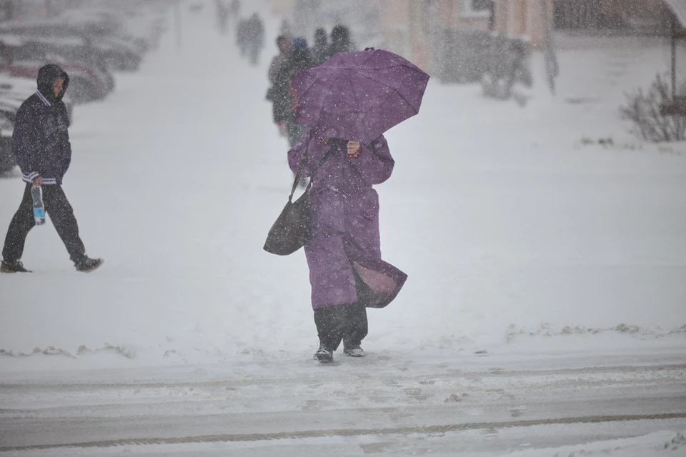 Сильный ветер и метели ожидаются в Новосибирской области на выходных.