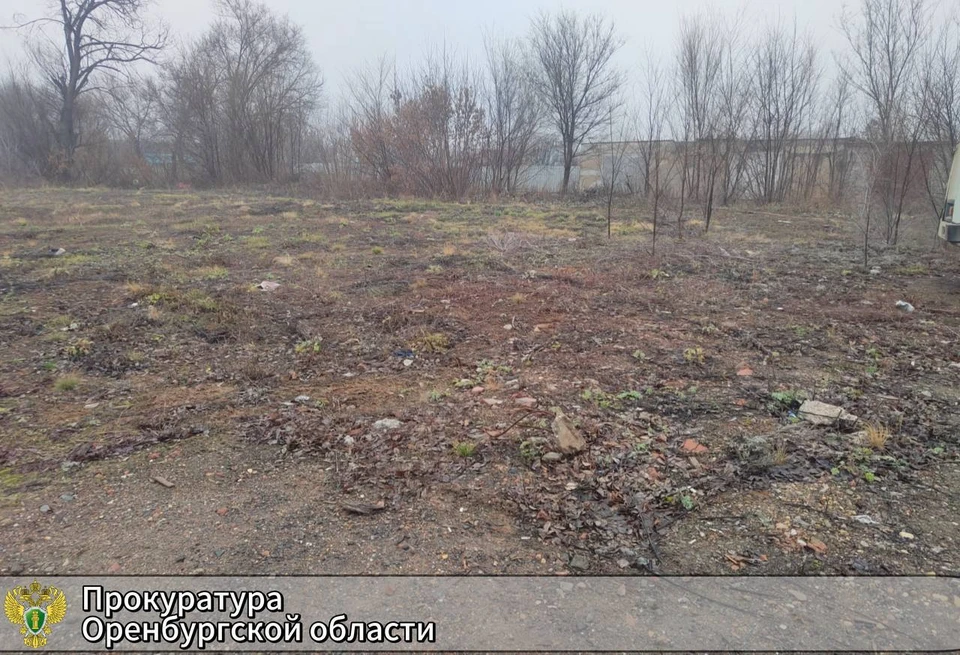 Вместо передачи в аренду, участки для предпринимательской деятельности продали в частную собственность. Фото: прокуратура Приморья