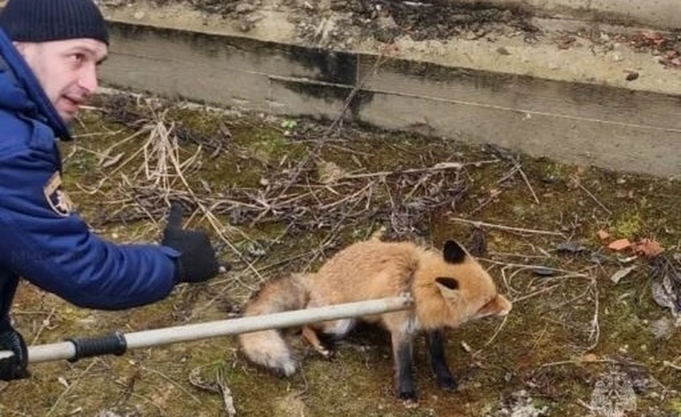 Фото: областная поисково-спасательная служба