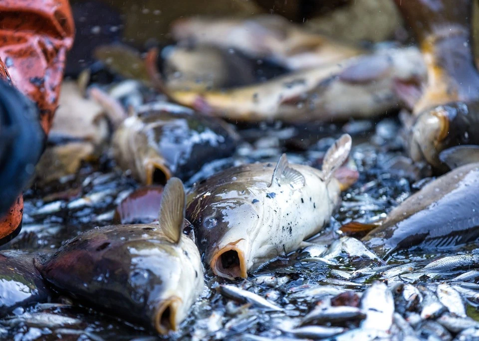 Москва и Осло обсудят санкции против российских компаний