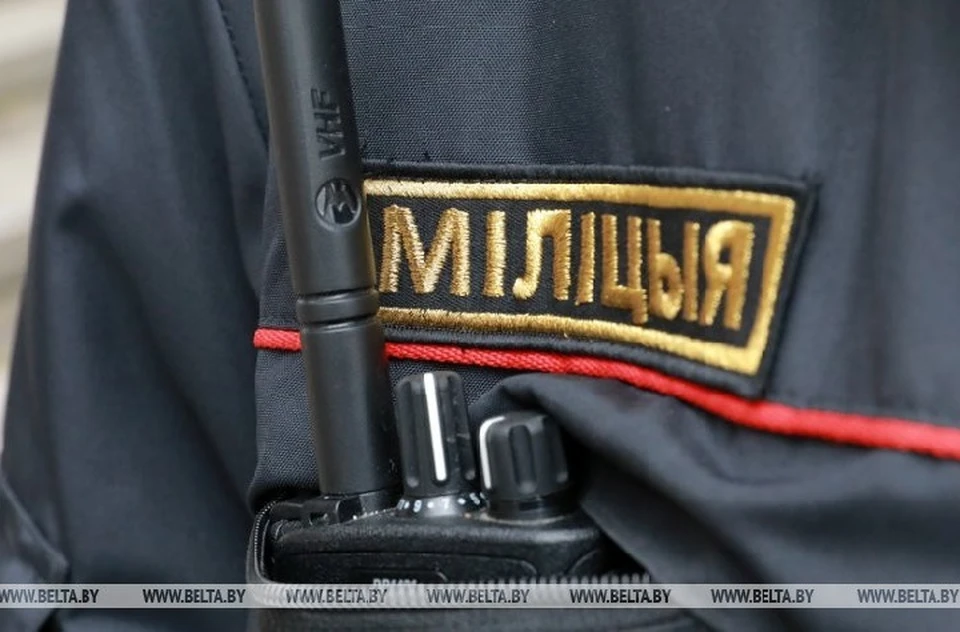 Глава МВД сказал о контроле милиции за тунеядцами. Фото: БелТА.