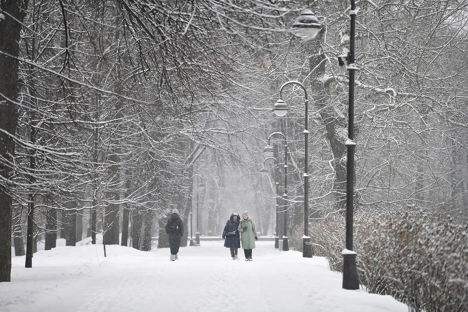 Работы по благоустройству парка планируют продолжить в следующем году.