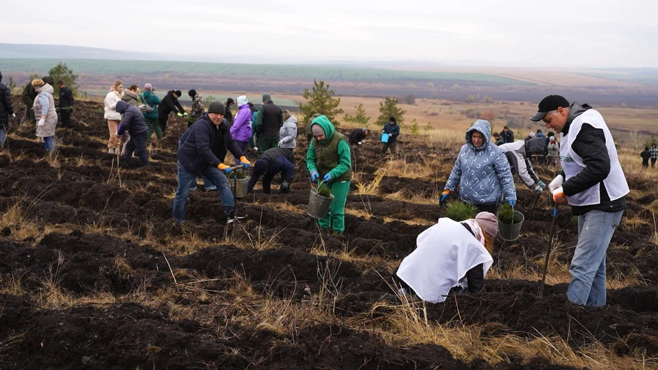 Фото: ТК Романа Бусаргина