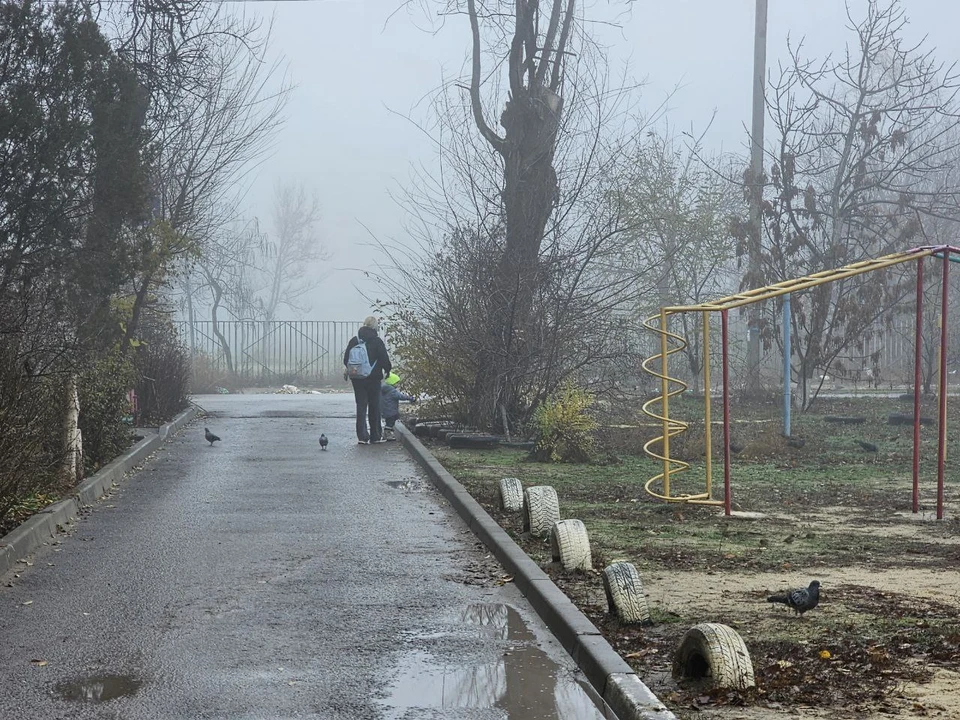 Волгоградцы еще несколько дней будут чувствовать себя "ежиками в тумане".