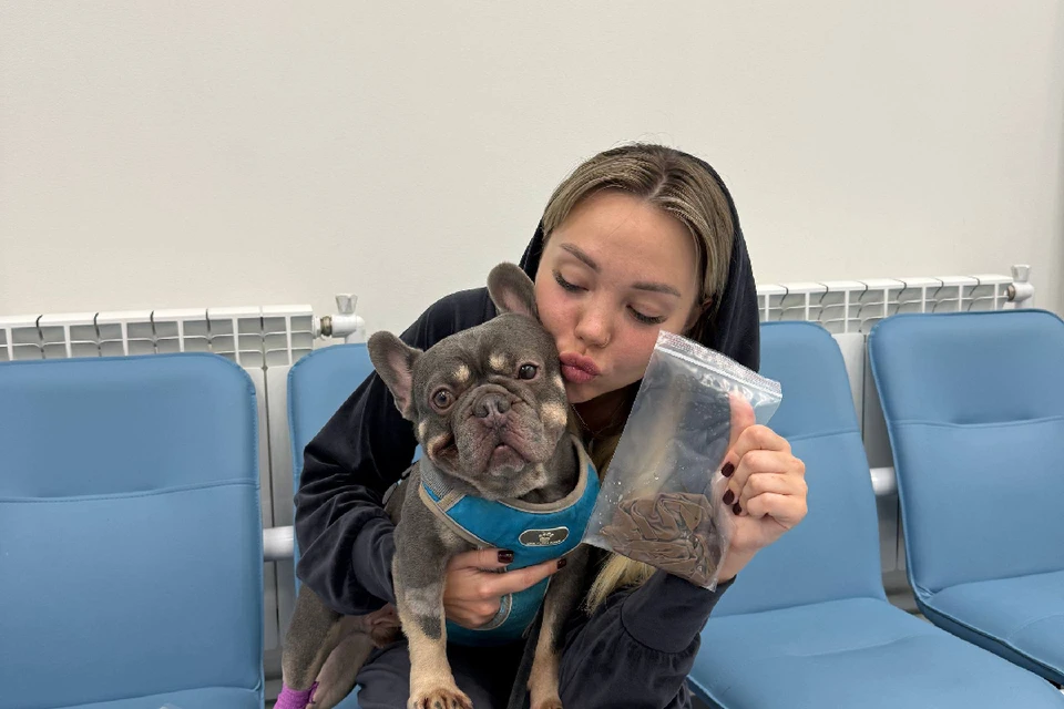 Алмазика вовремя успели прооперировать. В пакете - его деликатес, как вы поняли. Фото: предоставлено "КП"